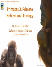 Primates 3.pdf