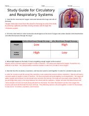 Circluatory_Respiratory_System_Study_Guide_KEY.docx