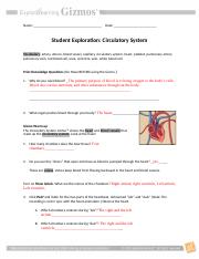 CirculatorySystemSE.doc