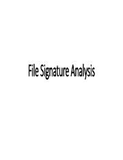 File Signature Analysis.pdf