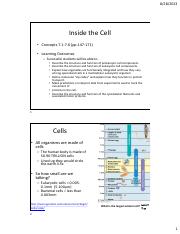 Ch7-Inside the Cell_Student-2 1.pdf