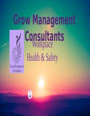 Grow Management Consultants whs.pptx