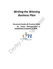 Writing The 2019 Winning Business Plan for Established Companies.pdf