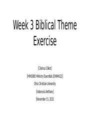 Week 3 Biblical Theme Exercise.pptx