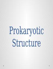 Prokaryotic Structure Notes.pptx