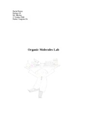Organic Molecules Lab