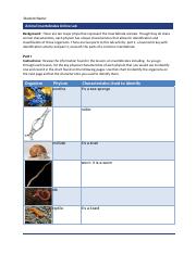 5_10_AnimalInvertebratesOnlineLab_worksheet.pdf