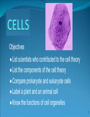 07.1 Cells and the Cell Theory.pdf