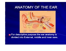 Atlas Anatomy of the ear.pdf