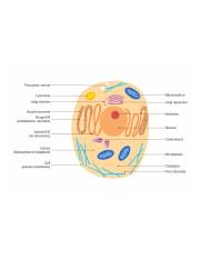 biology-diagram-22.jpg