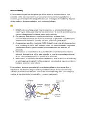 Notas neuromarketing.pdf