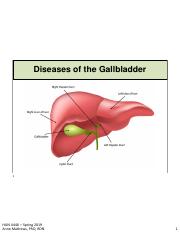 gallbladder spring 2019_1ppg.pdf