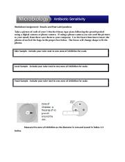 Lab 9A Antibiotic Sensitivity Worksheet(1) (2).docx