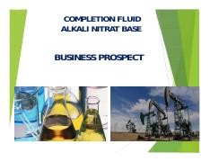 Completion Fluid Nitrat Base Business Prospect.pdf