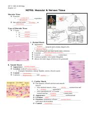 WK8_NOTES_muscular_nerve_tissue_filll_in_notes_student_kd13.pdf
