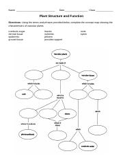 Plant Structure and Function Concept Map.doc
