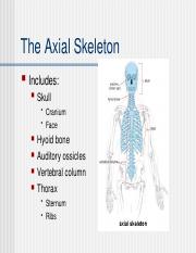 Axial_Skeleton notes 2020.ppt