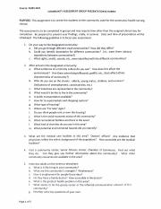 community assessment 05.pdf