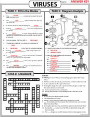 Viruses - Homework Review Worksheet - Answer Key.pdf