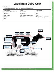 Activity - Labeling a Dairy Cow.pdf