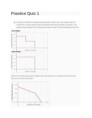 Practice Quiz 1.docx