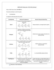 Assignment - Molecules of Life Worksheet