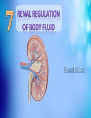 L7-Renal regulation of body fluid