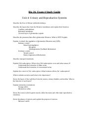 Bio26+UrinaryRepro+Study+Guide.doc