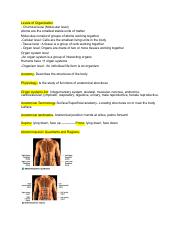 Chapter 1 Anatomy .pdf