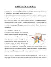 Región vertebral. Apunte.pdf