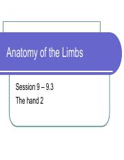 Session 9.3 Hand Muscles.pdf