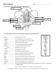 BAILEY GROOMS - FlowerBasics.pdf