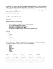 Copy of 6.06 PLANT CELLS AND TISSUES LABSHEET (1).docx