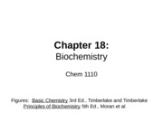 Chapter 18 Proteins%20Nucleic%20acids