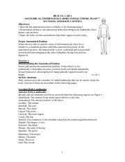 BIOL 131 Lab 1 anatomical terminology.docx