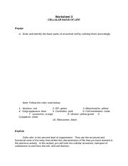 ANAPHY - Worksheet 3 - Cells.docx
