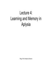 Lecture4_chacron_phgy314.pdf