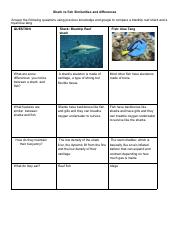 Copy of Desarey Padilla - Shark vs fish.pdf