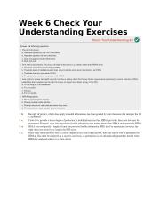 Week 6 Check Your Understanding Exercises.docx