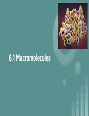 6.1 Macromolecules.pdf