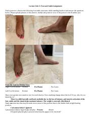Lecture Unit 3_Foot and Ankle Assignment.docx