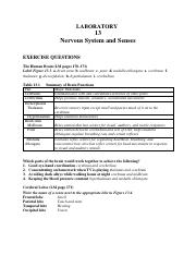Nervous and Sensory System Lab Manual_Answer Key.pdf