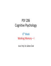 PSY 206 - 6. hafta_Working Memory I.pdf