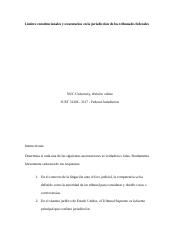 Límites constitucionales y estatutarios en la jurisdicción de los tribunales federales.docx