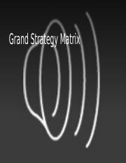 Grand Strategy Matrix.pptx
