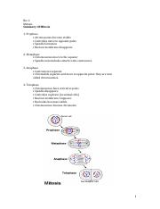 Bio 2 Mitosis Answers.pdf