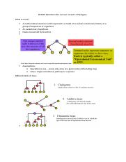 BS2040 Bioinformatics Lecture 12 and 13 Phylogeny - Copy.docx