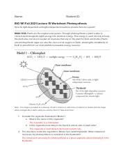 BIO 181 Fa2021 Lecture 15 Worksheet_ Photosynthesis.Final_STUDENT VERSION.pdf