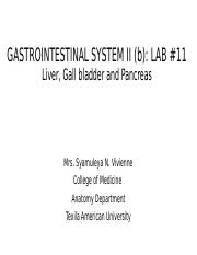 11. GASTROINTESTINAL SYSTEM II b LAB #11 Organs Associated with GIT.pptx