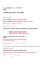 Cellular_Respiration_Virtual_Lab